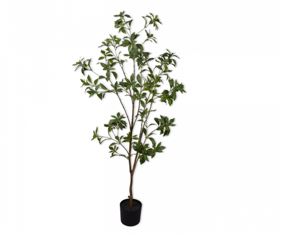 Silk-ka kleiner Baum, div. Höhen