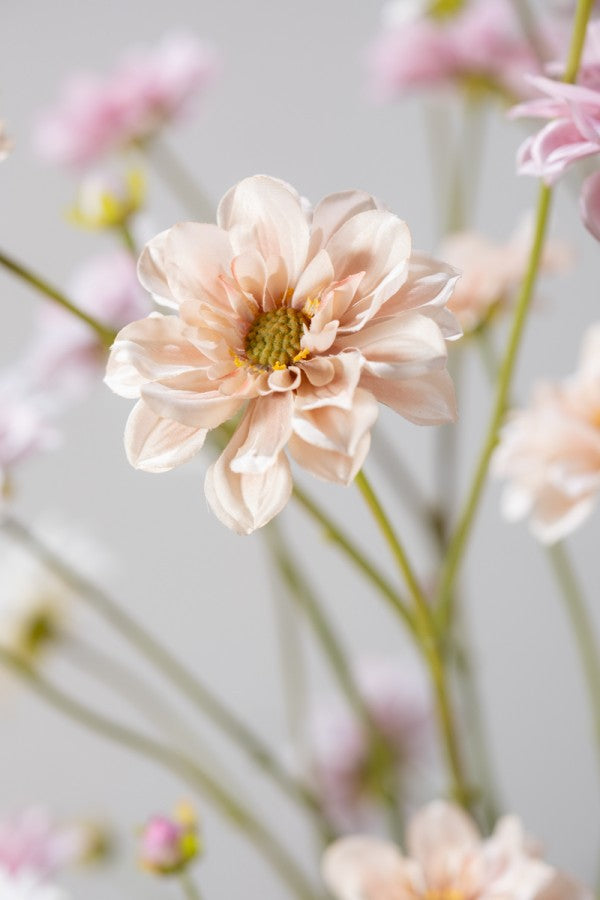 Silk-ka, Dahlie-Zweig apricot, 75 cm