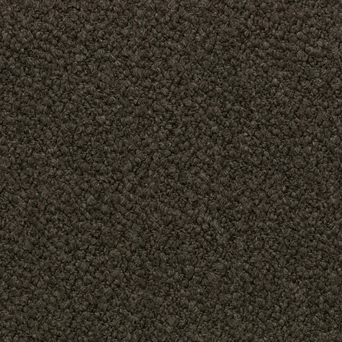 SOVET Xenial Stuhl, Esche braun