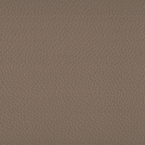 SOVET Xenial Stuhl, Esche braun