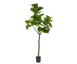 Ficus grün Kunstpflanze