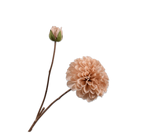 Silk-ka, Dahlienzweig champagner, 60 cm