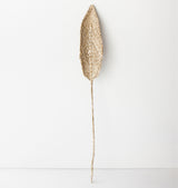 Urban-Nature-Culture-planta-de-praia