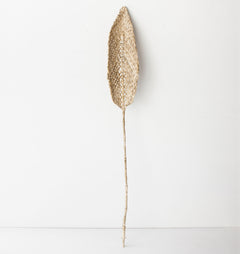 Urban-Nature-Culture-planta-de-praia